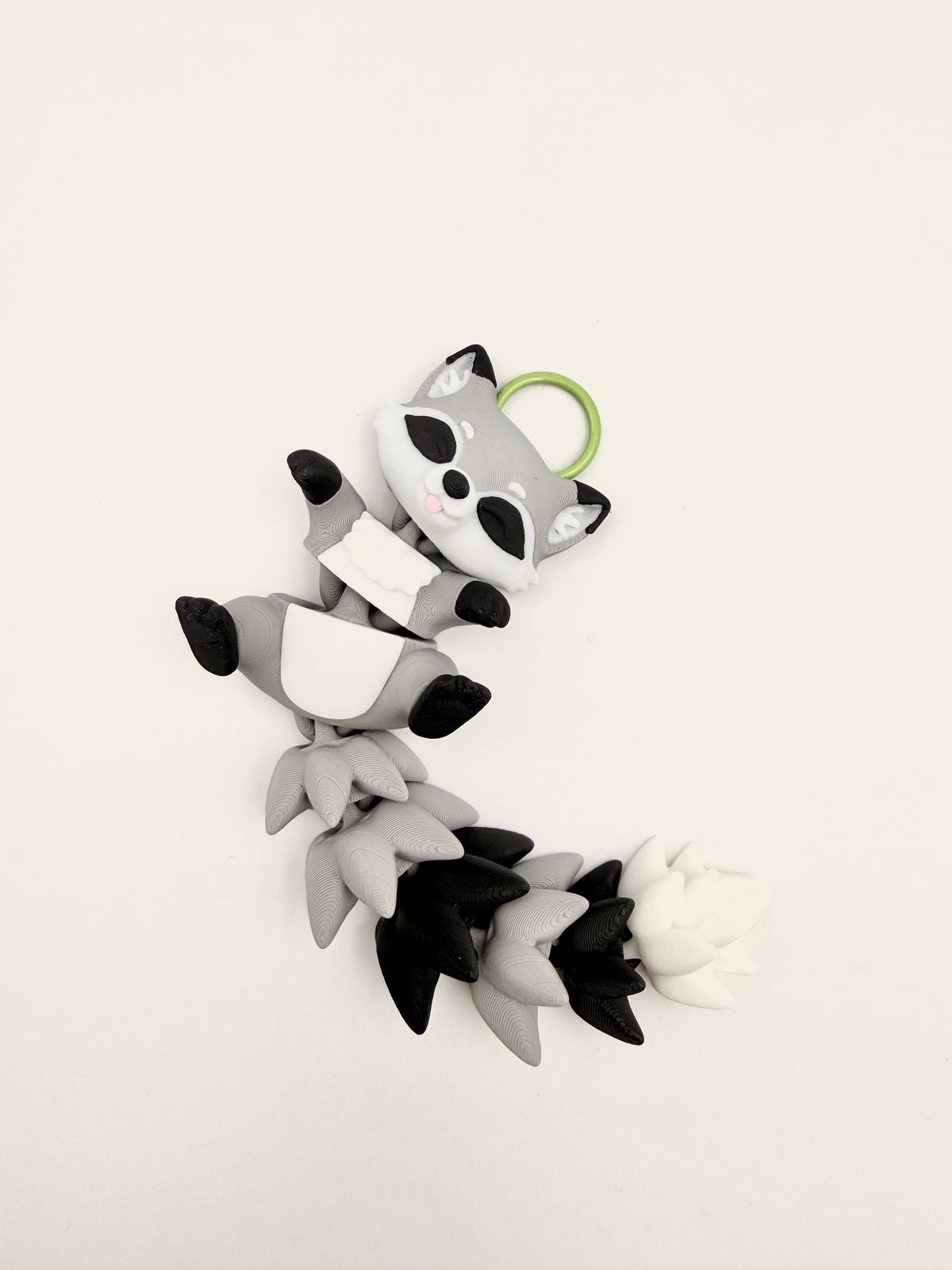 Racoon