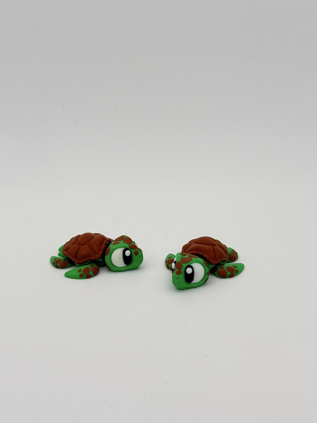 Zee schildpad