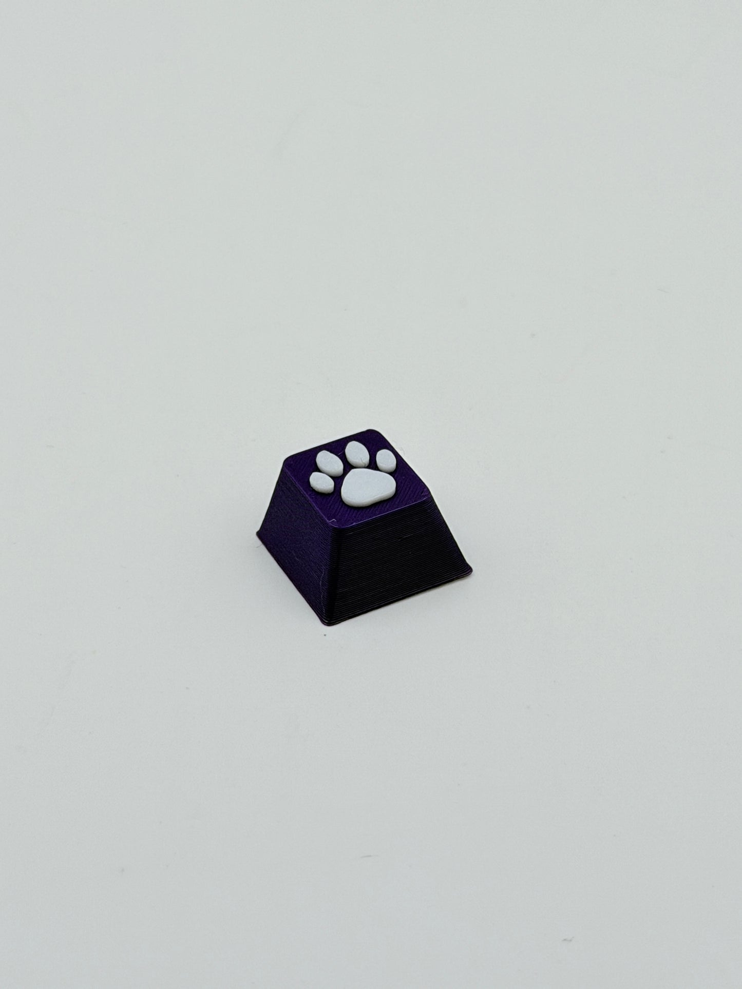 Paw Print
