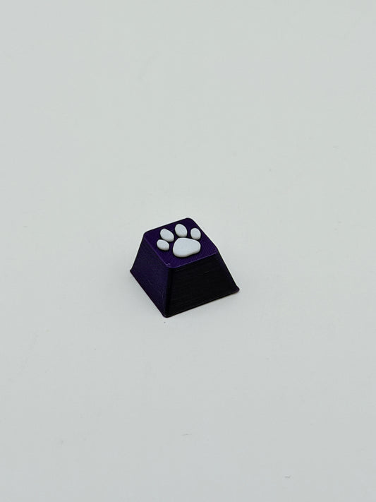 Paw Print