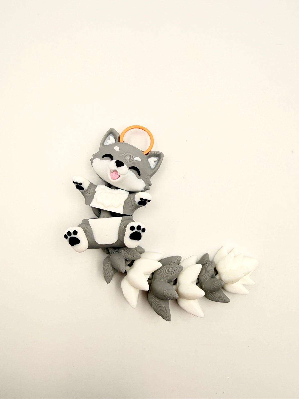 Racoon