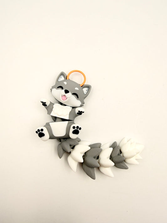 Racoon